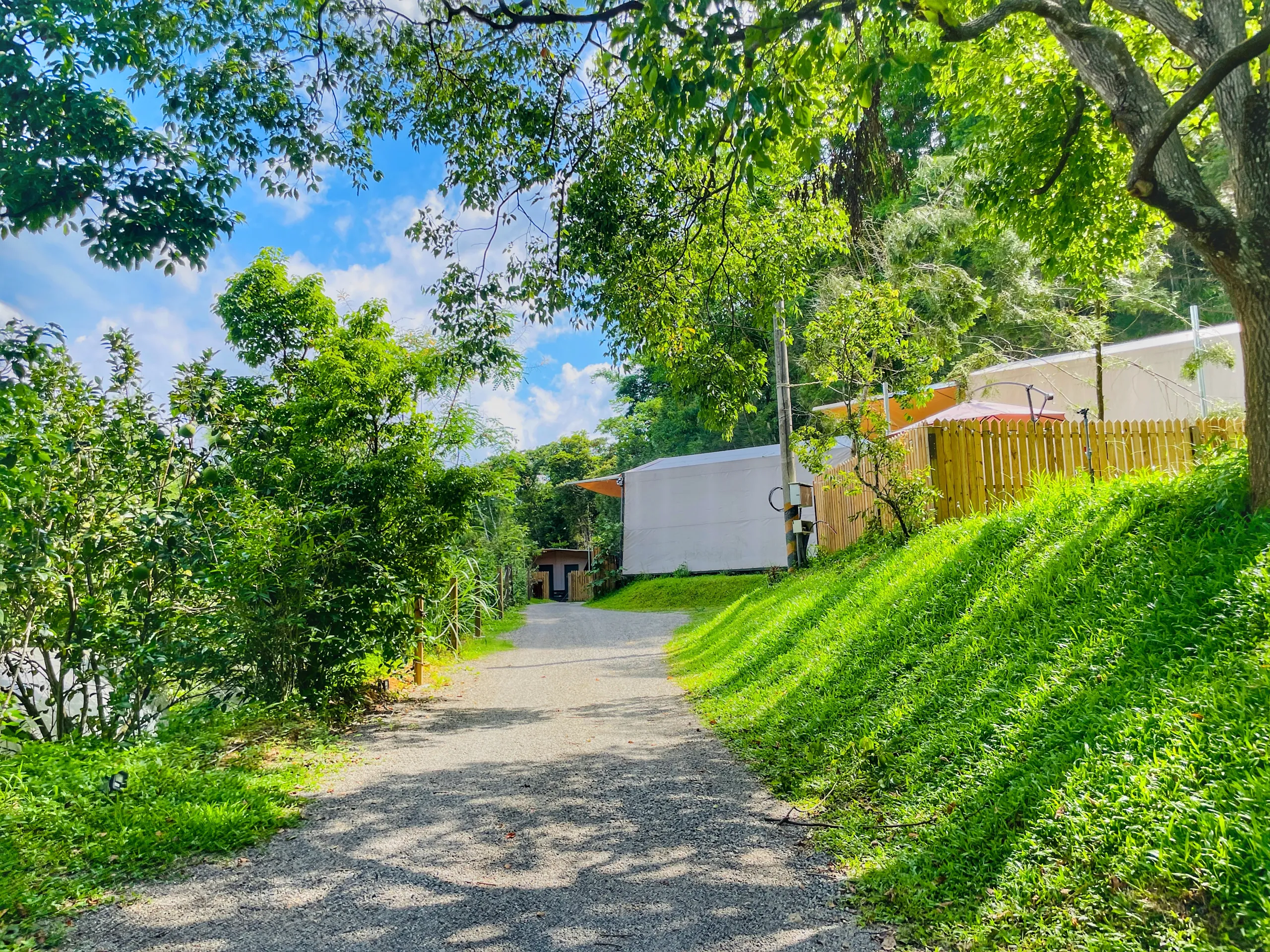 星空一 實景圖 5