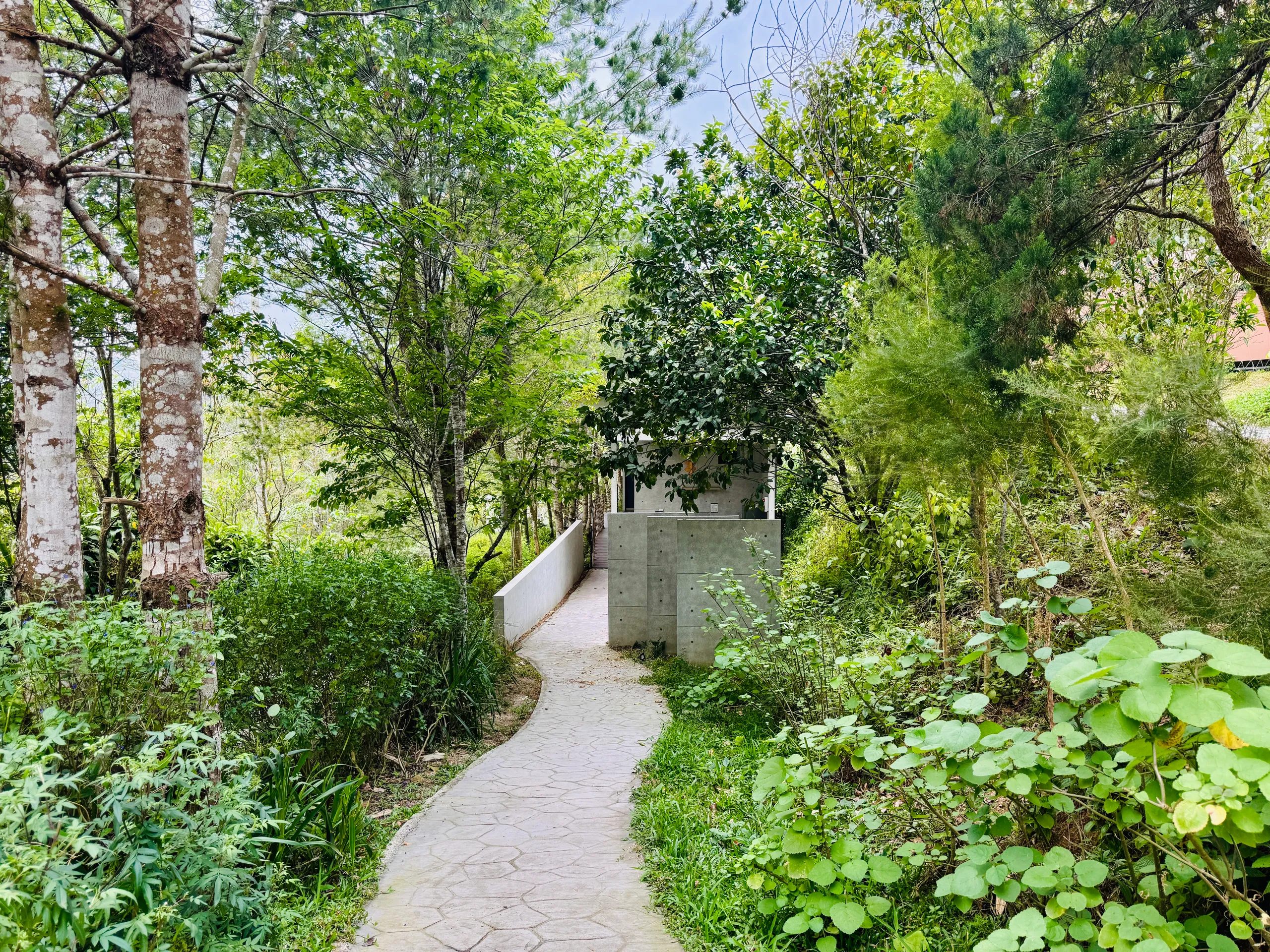 四人房-1 實景圖 3