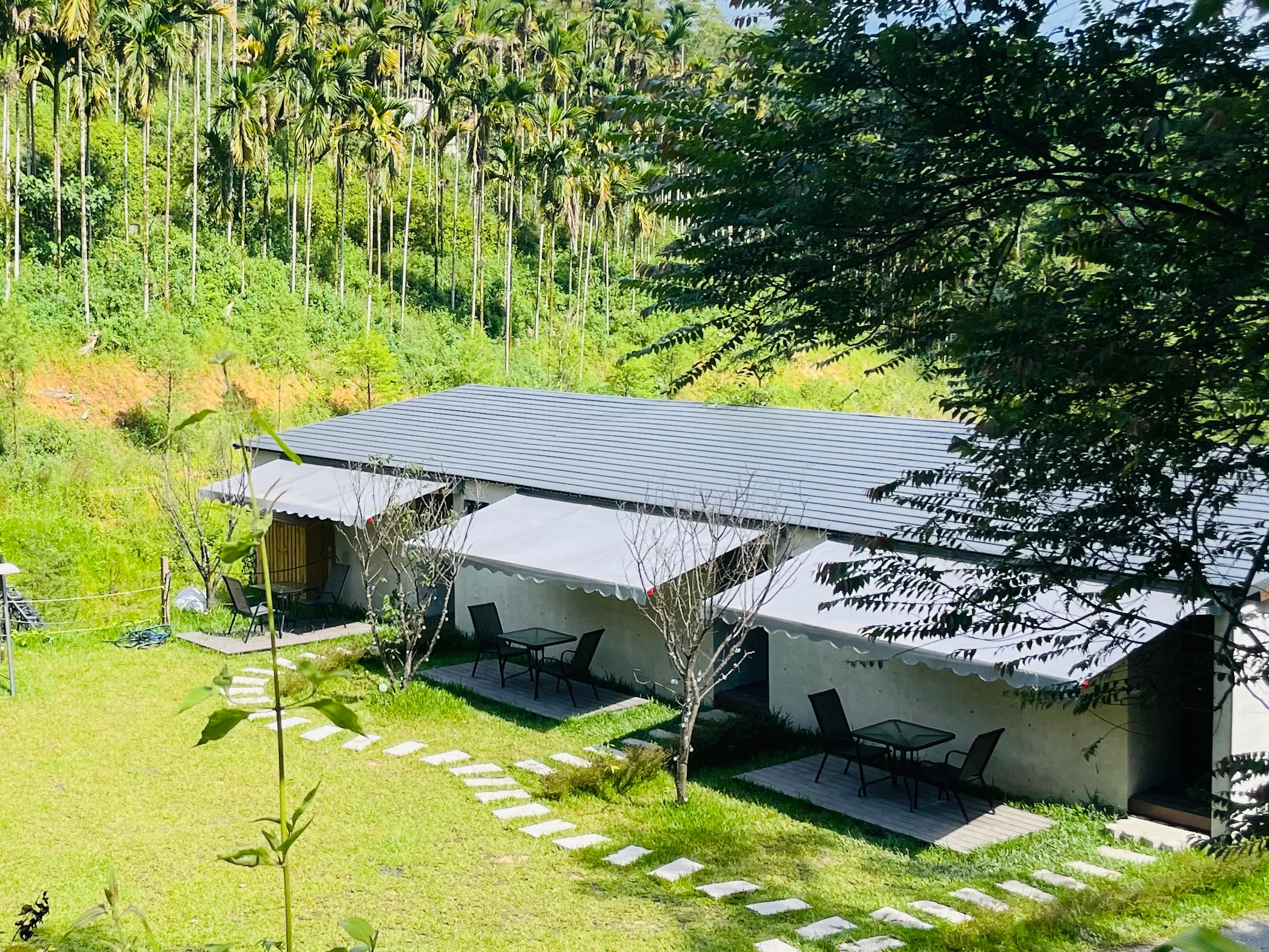 櫻花雙人帳 照片 1